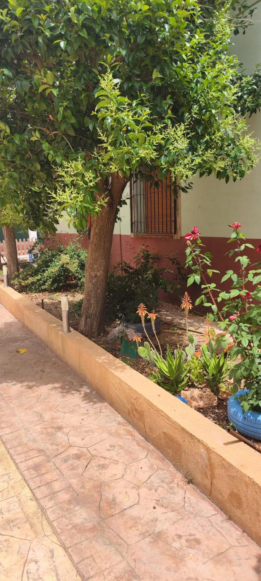 סן קלמנטה Casa Rural El Tejar מראה חיצוני תמונה