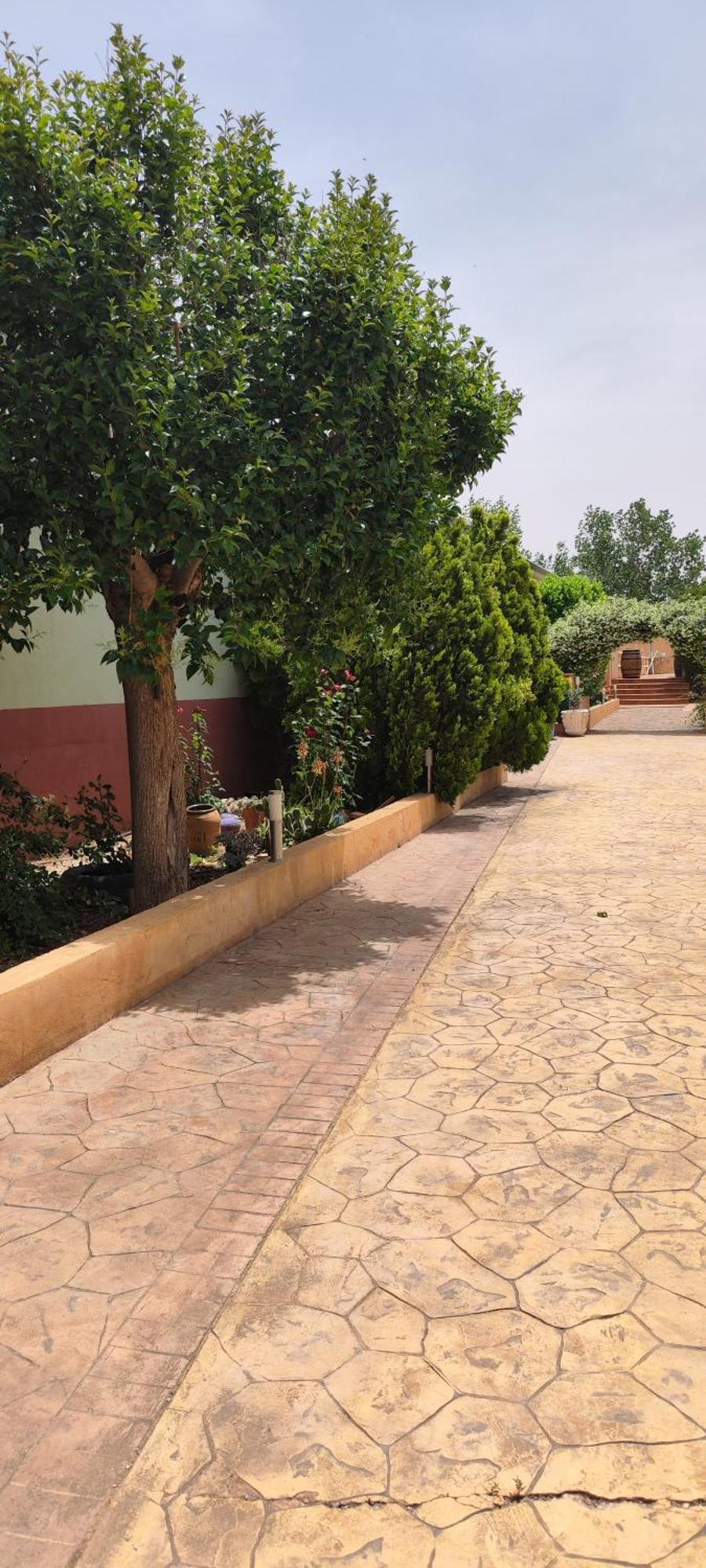 סן קלמנטה Casa Rural El Tejar מראה חיצוני תמונה