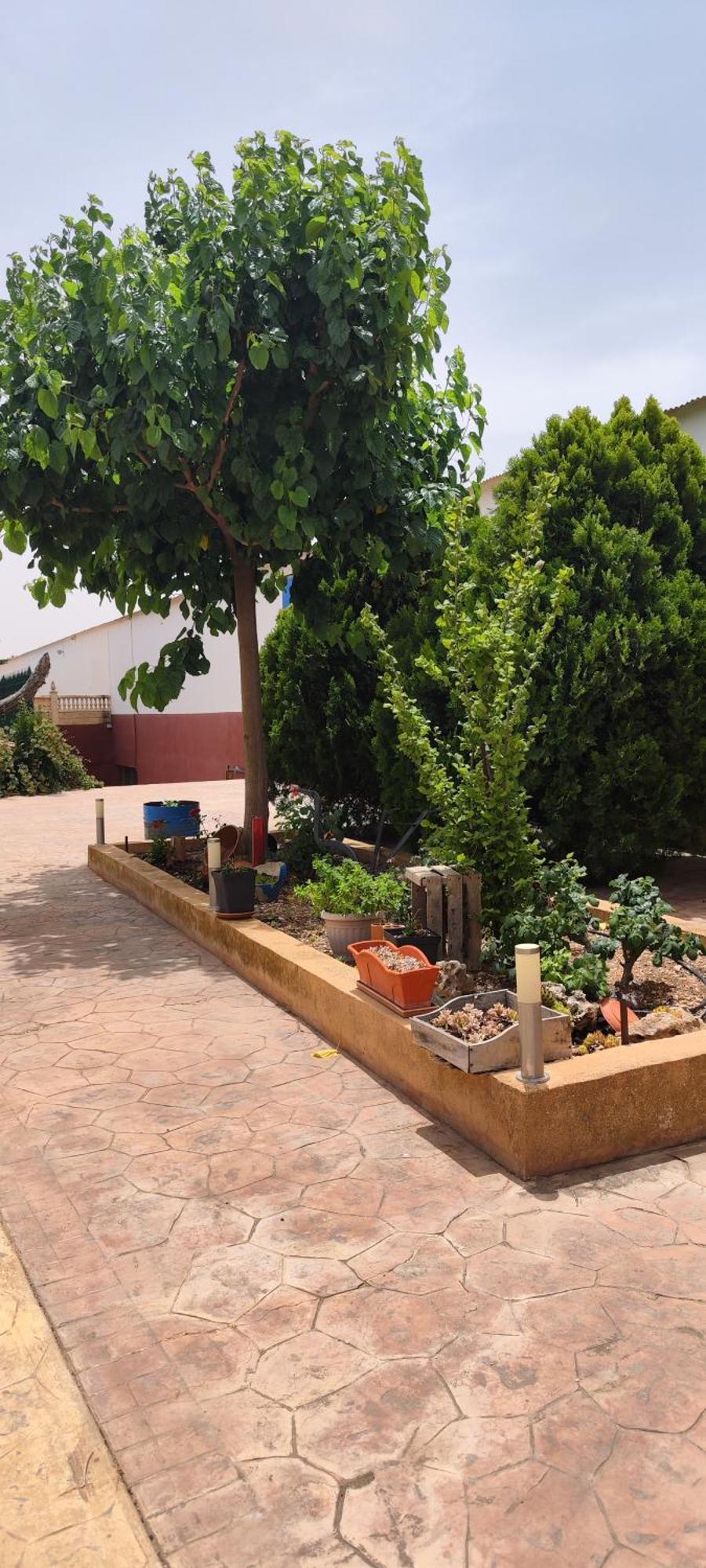 סן קלמנטה Casa Rural El Tejar מראה חיצוני תמונה
